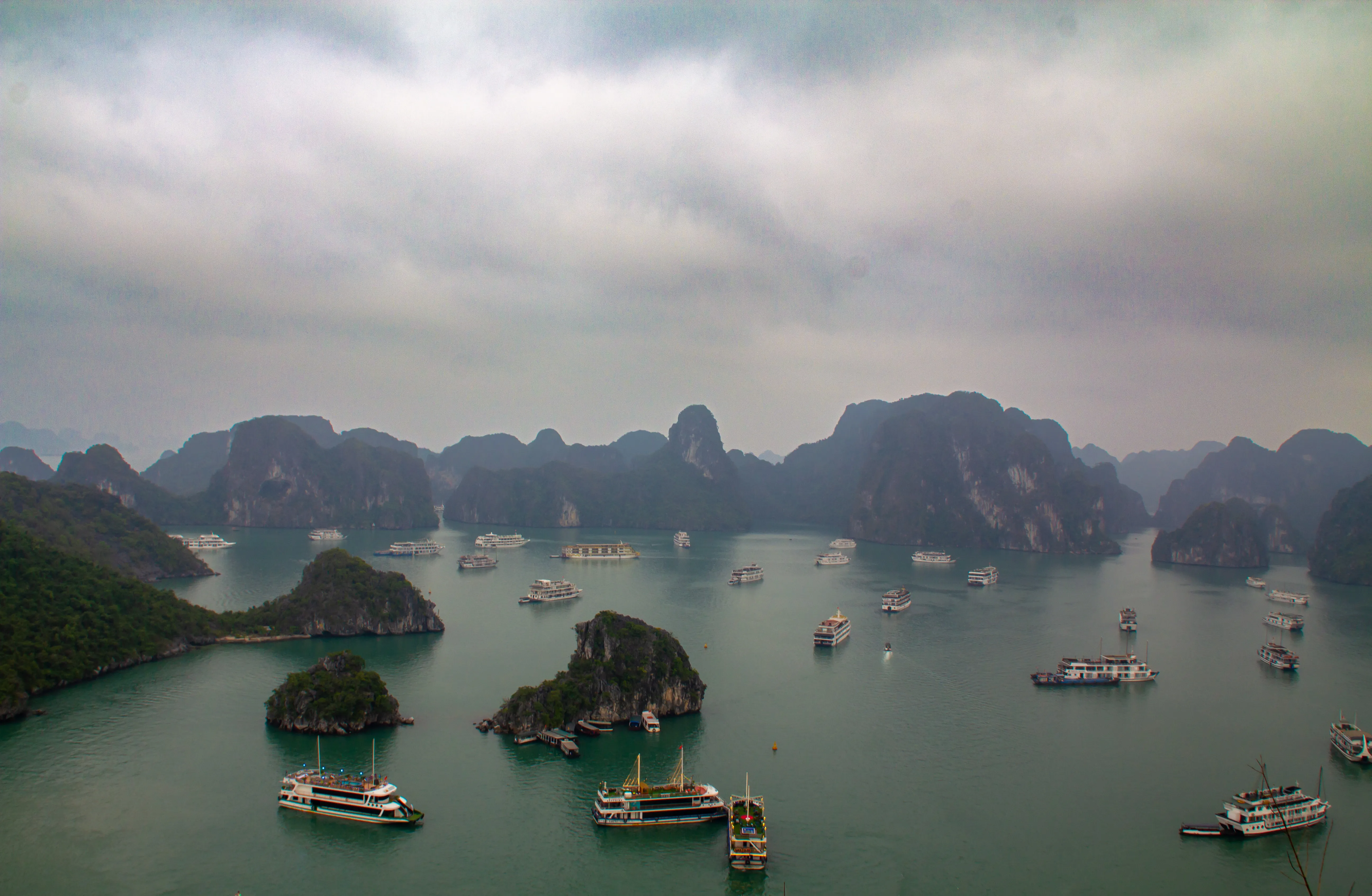 Cruise ships anchored in one spot